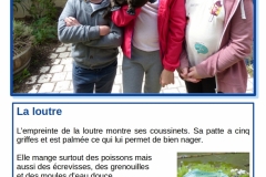 loutre
